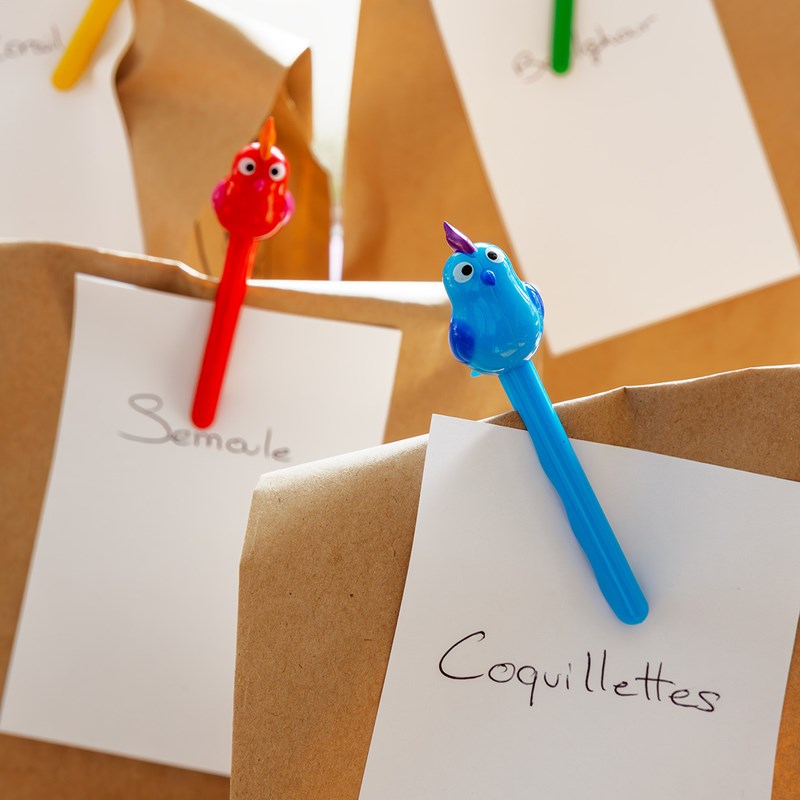 Set de 4 pinces à sachet multicolore