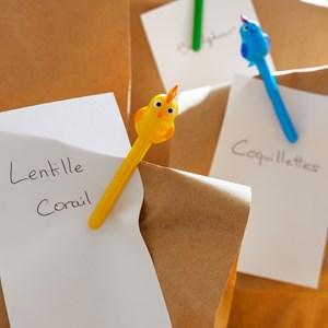 Set de 4 pinces à sachet  multicolore