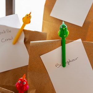 Set de 4 pinces à sachet  multicolore