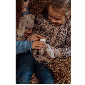 Lapin en peluche et son bébé