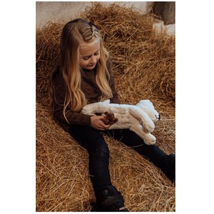Chien en peluche et ses chiots