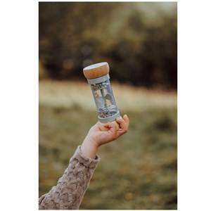 Bâton de pluie arlequin