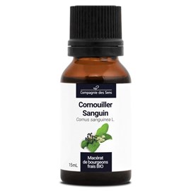 Cornouiller sanguin bio - 15ml (cornus sanguinea) – macérat concentré de bourgeo