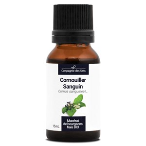 Cornouiller sanguin bio - 15ml (cornus sanguinea) – macérat concentré de bourgeo 15