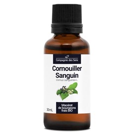 Cornouiller sanguin bio - 30ml (cornus sanguinea) – macérat concentré de bourgeo