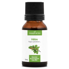 Hêtre bio - 15ml (fagus sylvatica) – macérat concentré de bourgeons frais