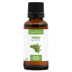 Hêtre bio - 30ml (fagus sylvatica) – macérat concentré de bourgeons frais 30