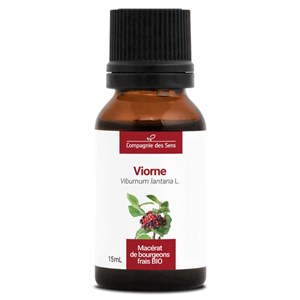 Viorne bio - 15ml (viburnum lantana) – macérat concentré de bourgeons frais 15