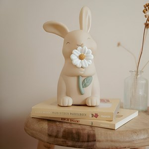 Veilleuse lapin fairy garden