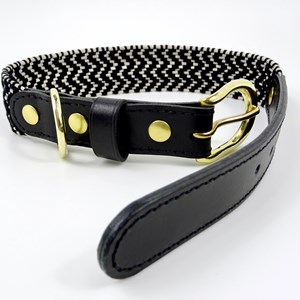 Collier pour chien okapia johnstoni - taille m - noir