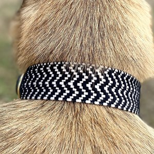 Collier pour chien okapia johnstoni - taille l - noir