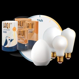 Kit laqi (3 ampoules) – éclairage circadien automatique pour mieux dormir