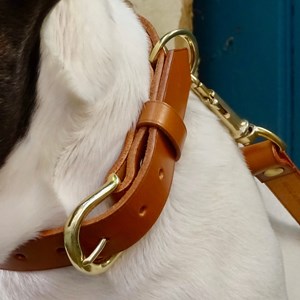 Collier pour chien canis lupus - taille s - marron