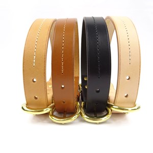 Collier pour chien canis lupus - taille s - marron