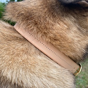 Collier pour chien canis lupus - taille l- noir