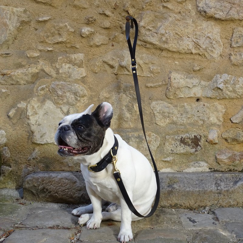 Laisse en cuir pour chien dugong dugon noir