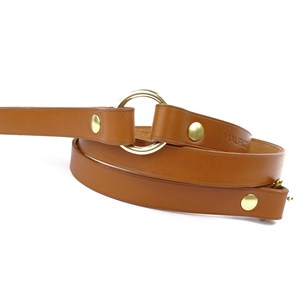 Laisse en cuir pour chien dugong dugon marron