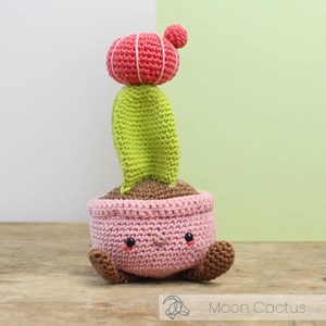 Kit de crochet à faire soi-même
