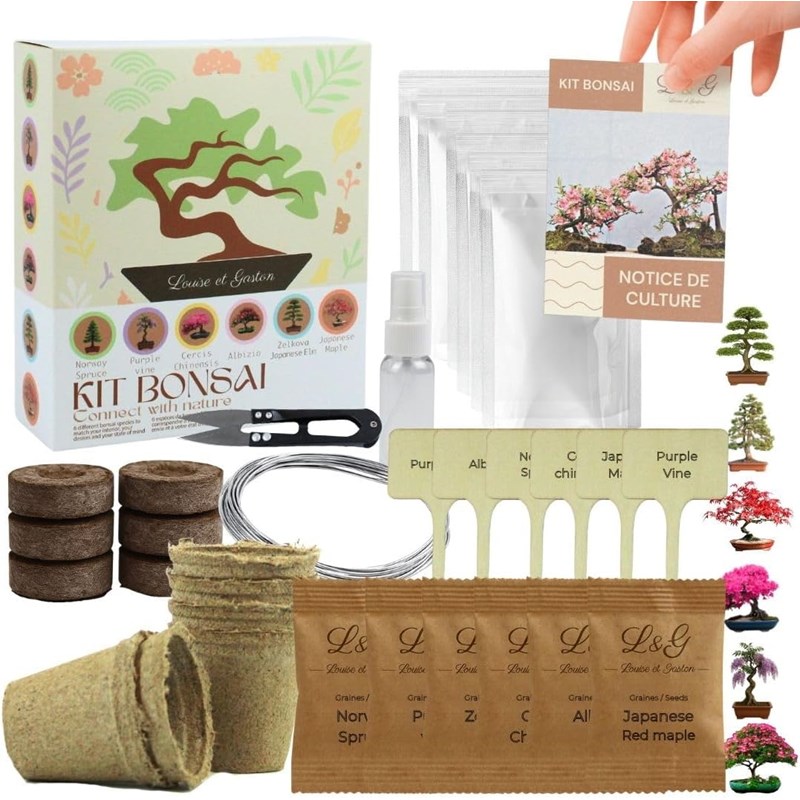 Kit 6 bonsais interieur complet