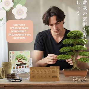 Kit 6 bonsais interieur complet