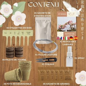 Kit 6 bonsais interieur complet