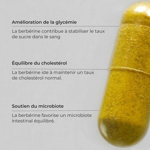 Berbérine berbevis® - 10x plus assimilable, titrée à 45%