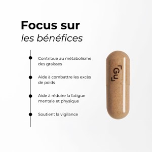 Guarana - haute teneur en caféine naturelle (22%)