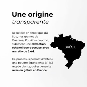 Guarana - haute teneur en caféine naturelle (22%)