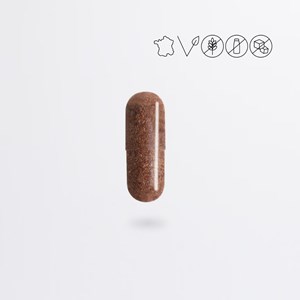 Rhodiola - extrait titré à 3% rosavines et 1% salidrosides