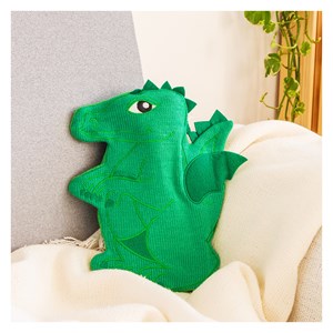 Bouillotte à eau  dragon vert
