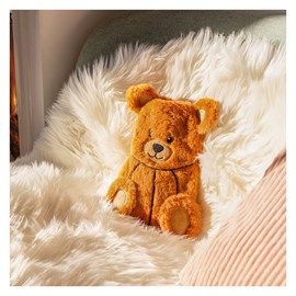 Bouillotte à eau  ours brun