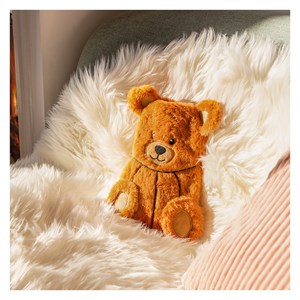 Bouillotte à eau  ours brun