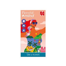 6 puzzles 54 pièces jumbo pieceful mind