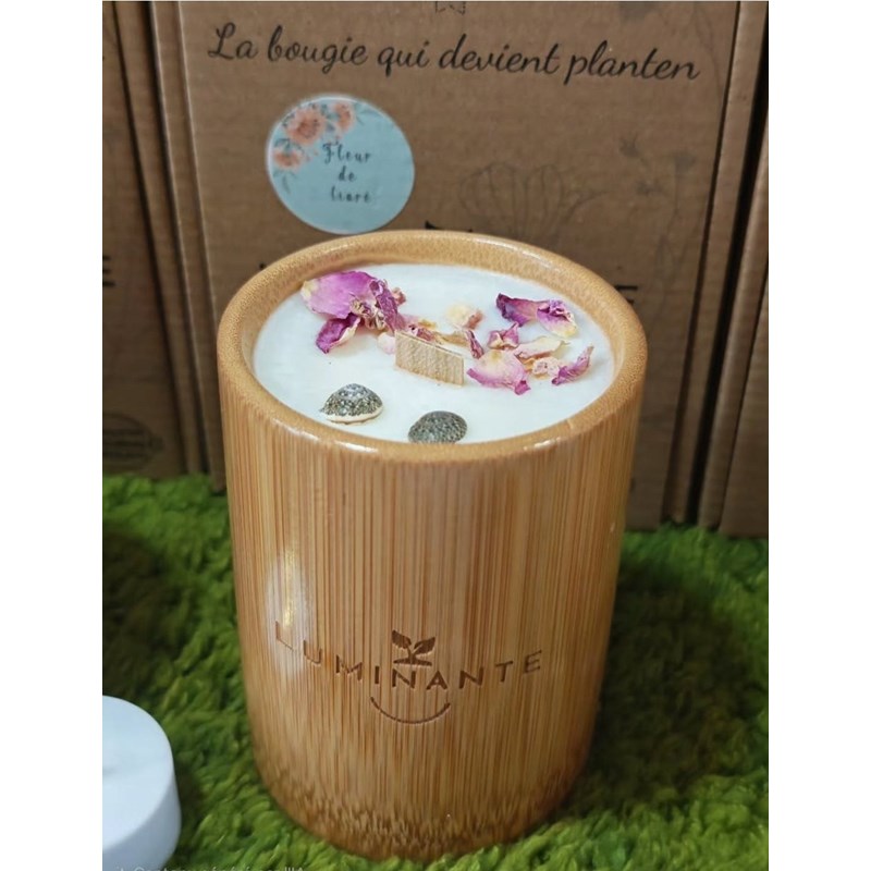 Bougie qui devient plante fleurtiaré