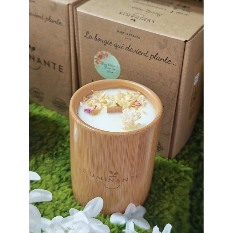 Bougie qui devient plante lotus