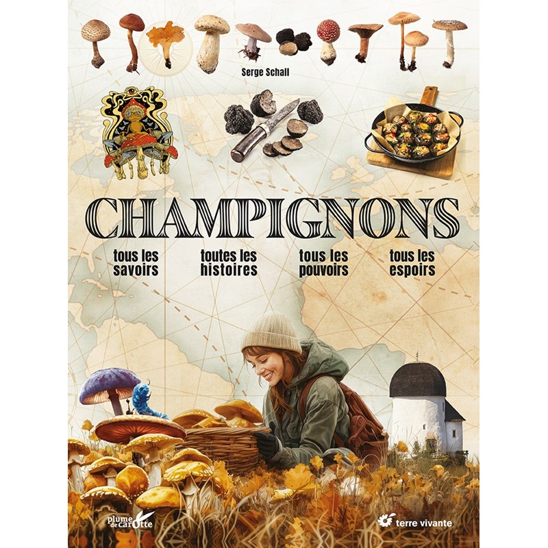 Champignons