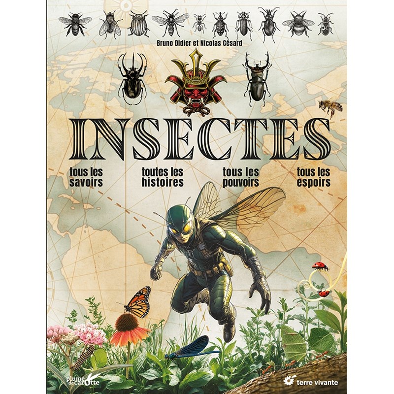 Insectes