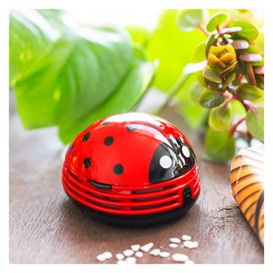 Ramasse miettes  coccinelle