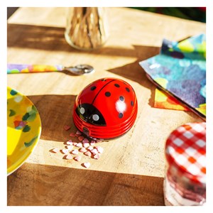 Ramasse miettes  coccinelle