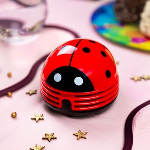 Ramasse miettes  coccinelle