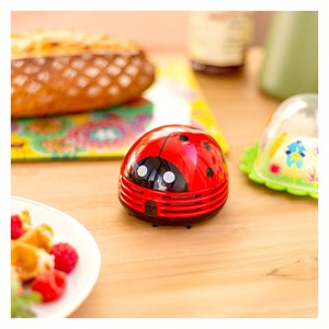 Ramasse miettes  coccinelle