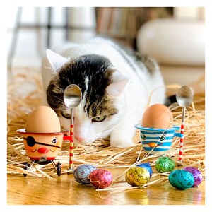 Coquetier design  pirate