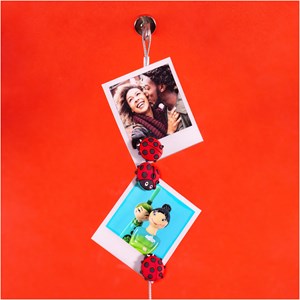 Câble porte photos et magnets  coccinelle