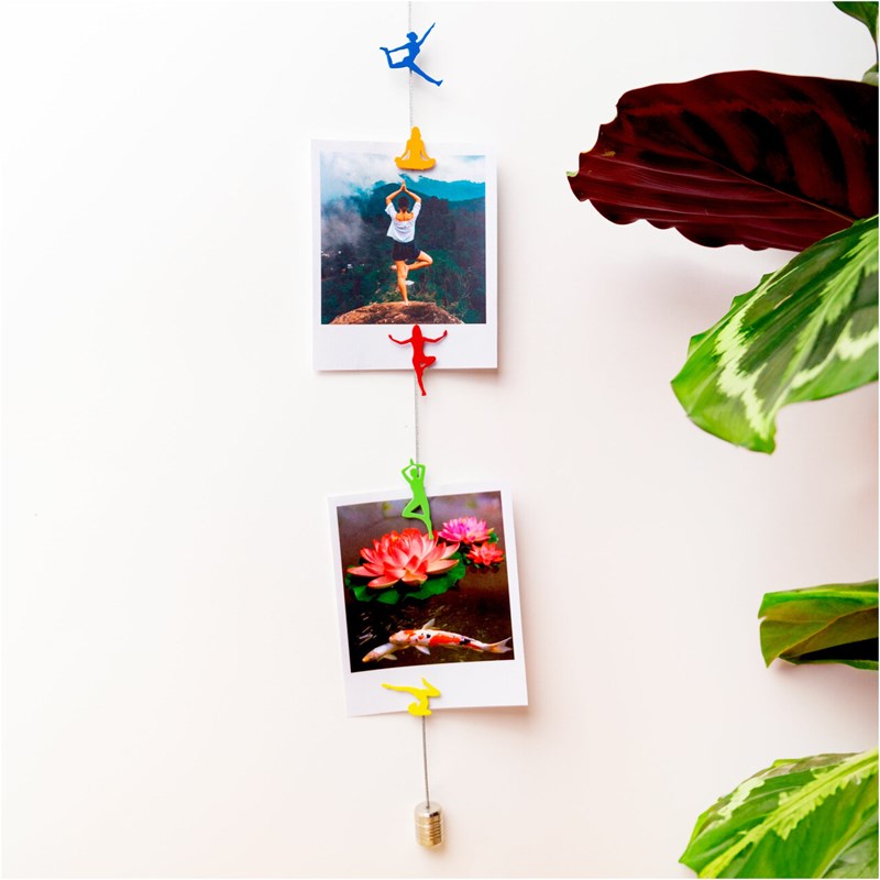 Câble porte photos et magnets heroes yogi