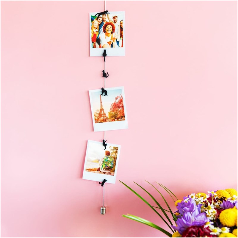 Câble porte photos et magnets chat noir