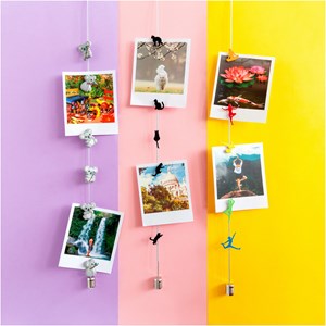 Câble porte photos et magnets  chat noir