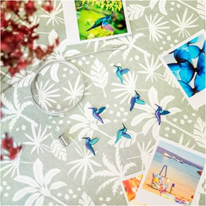 Câble porte photos et magnets  colibris bleu