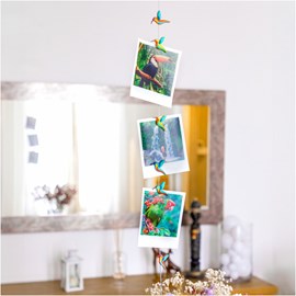 Câble porte photos et magnets  colibris rouge