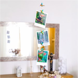 Câble porte photos et magnets  colibris rouge