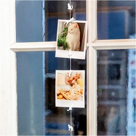 Câble porte photos et magnets  chat blanc